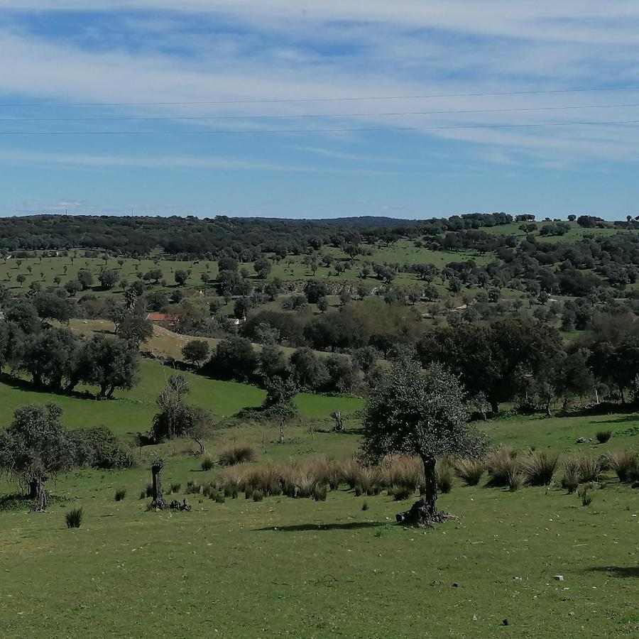 Villa Casa Do Cabeco - Termas Da Sulfurea Cabeço de Vide Esterno foto